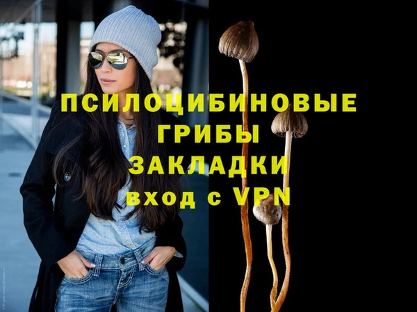 винт Алексин