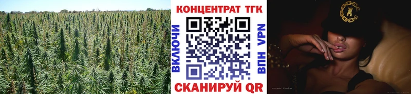 где купить наркоту  Порхов  Дистиллят ТГК THC oil 