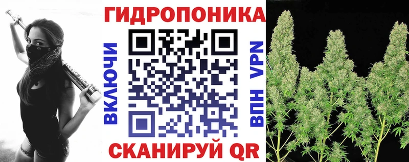 hydra как войти  Порхов  Бошки марихуана планчик 